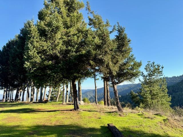 7175 Redwood Retreat