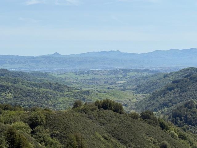 7175 Redwood Retreat
