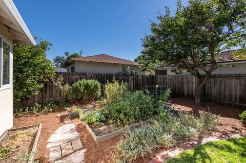 A home in SUNNYVALE