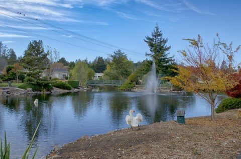 Tiny photo for 225 Mount Hermon Road #146, SCOTTS VALLEY, CA 95066 (MLS # ML82051660)