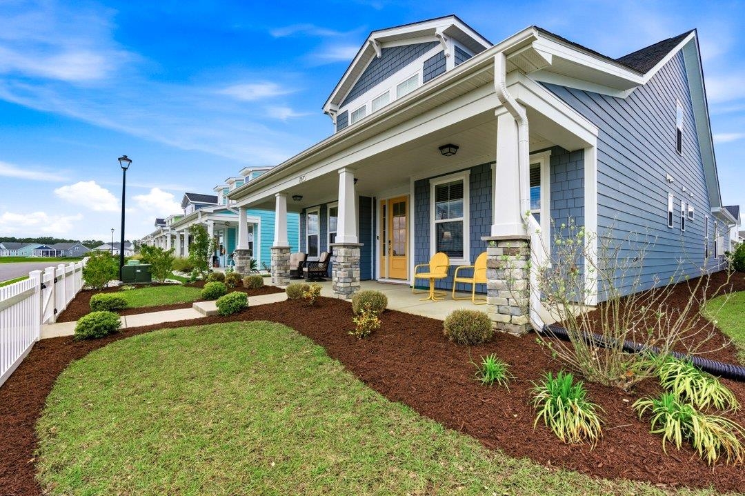 2077 Singing Palm Loop