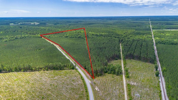 10 ACRE RD, ANDREWS, SC 29510 - Image 03169bce6ca4cb4be8d526899eb76eee/2331055968