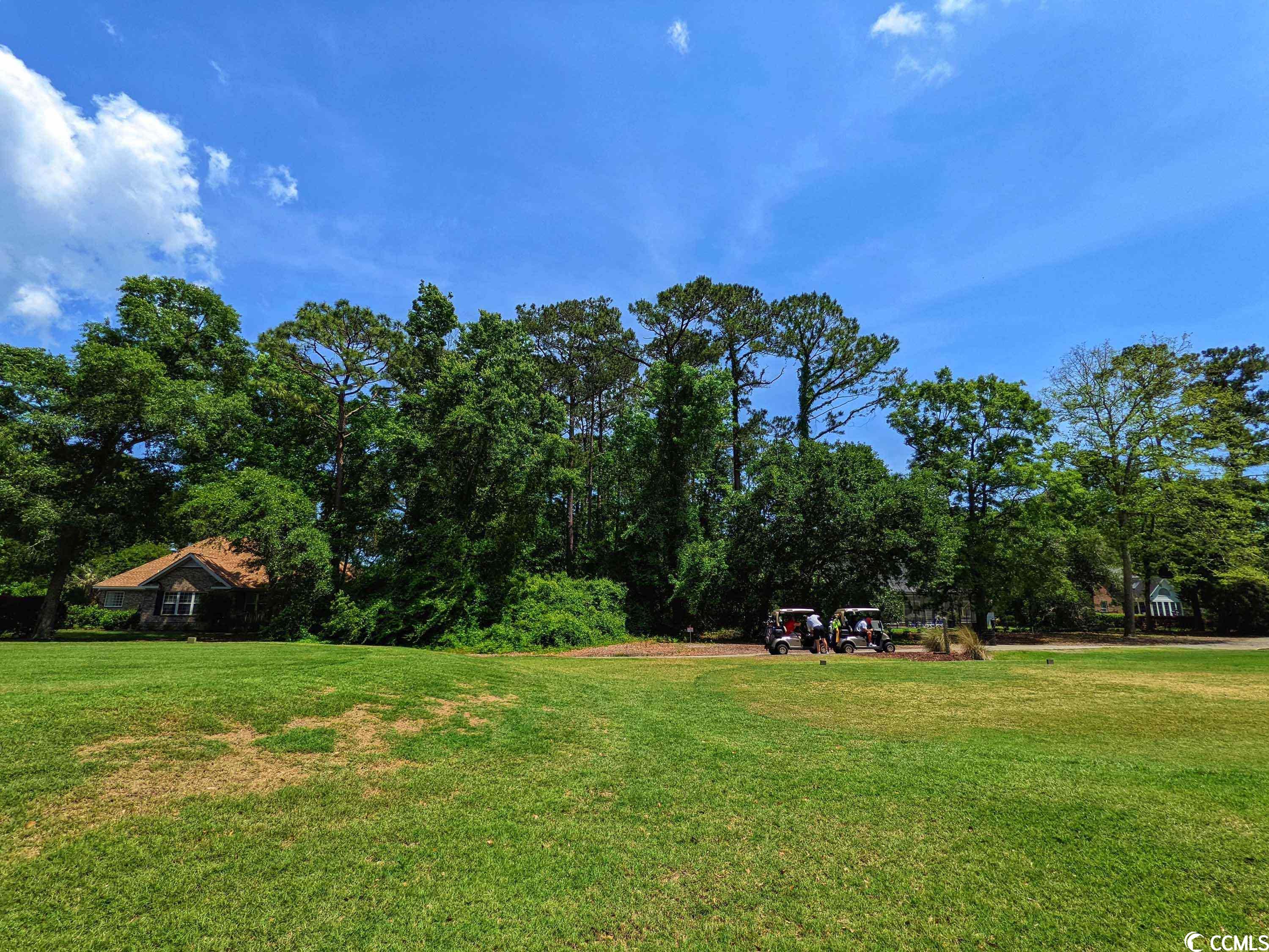 Photo 18 of 28 of Lot 45 Savannah Dr. land