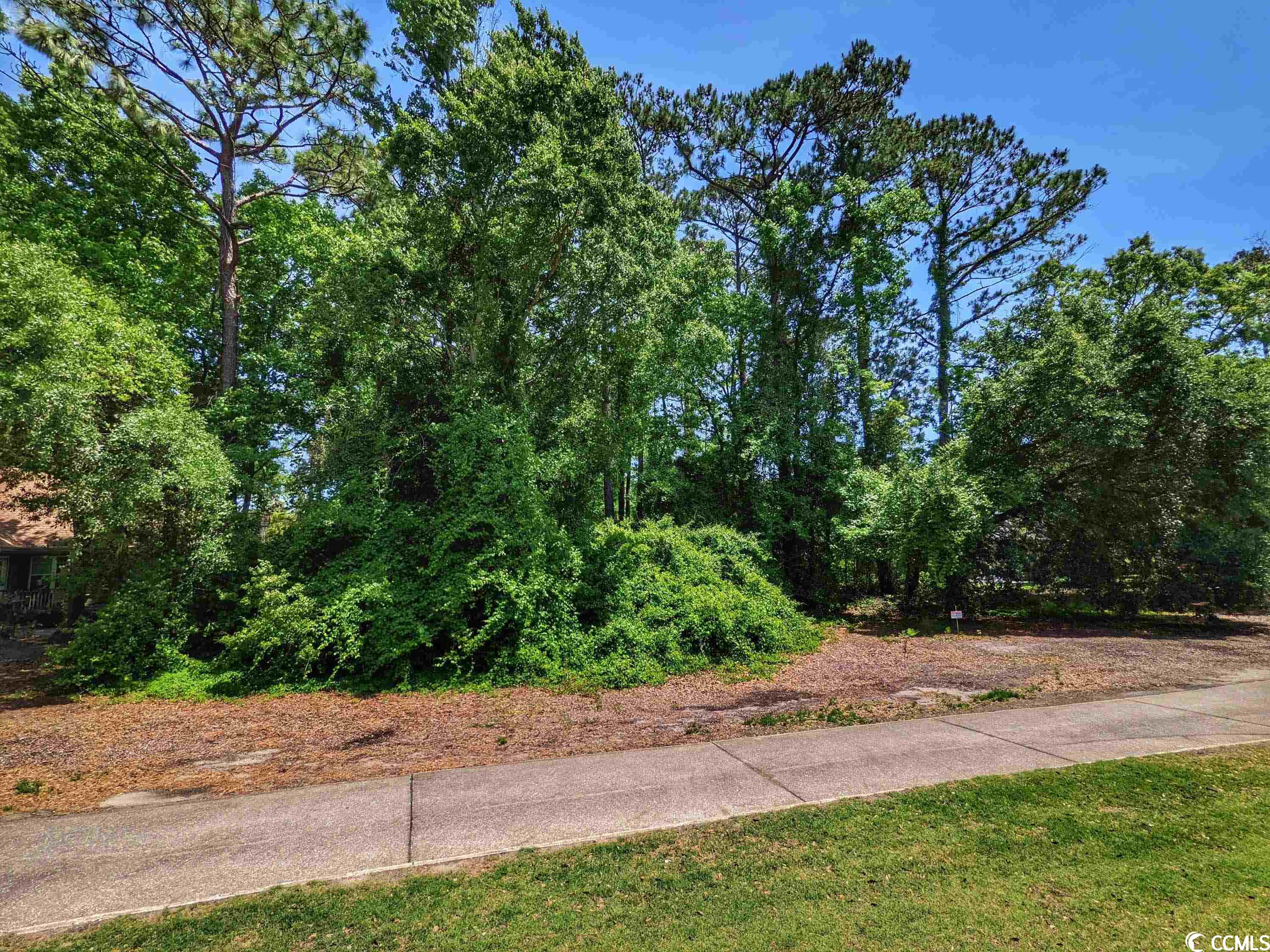 Photo 9 of 28 of Lot 45 Savannah Dr. land