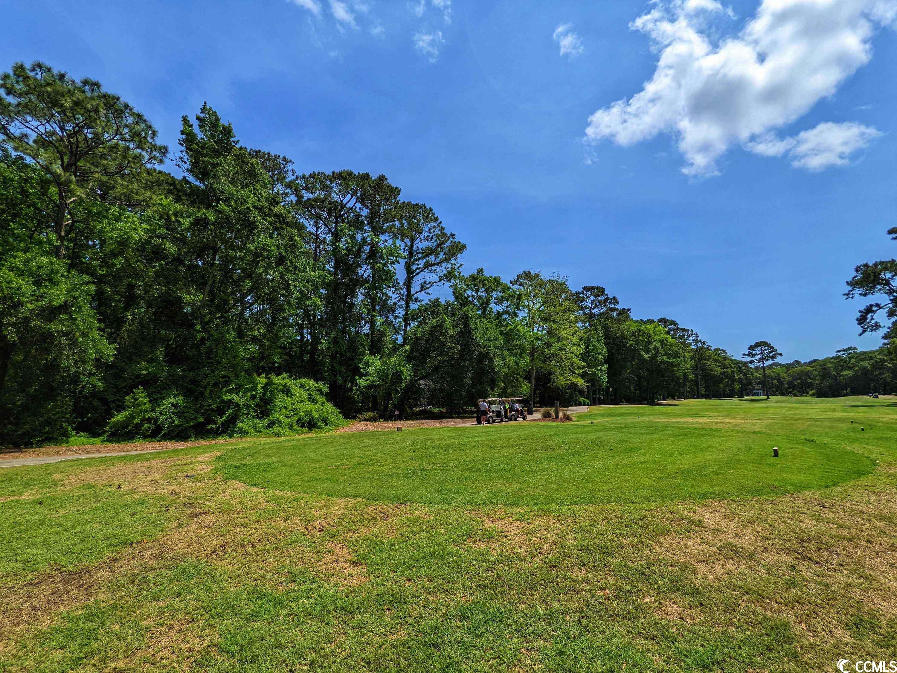 Photo 19 of 28 of Lot 45 Savannah Dr. land