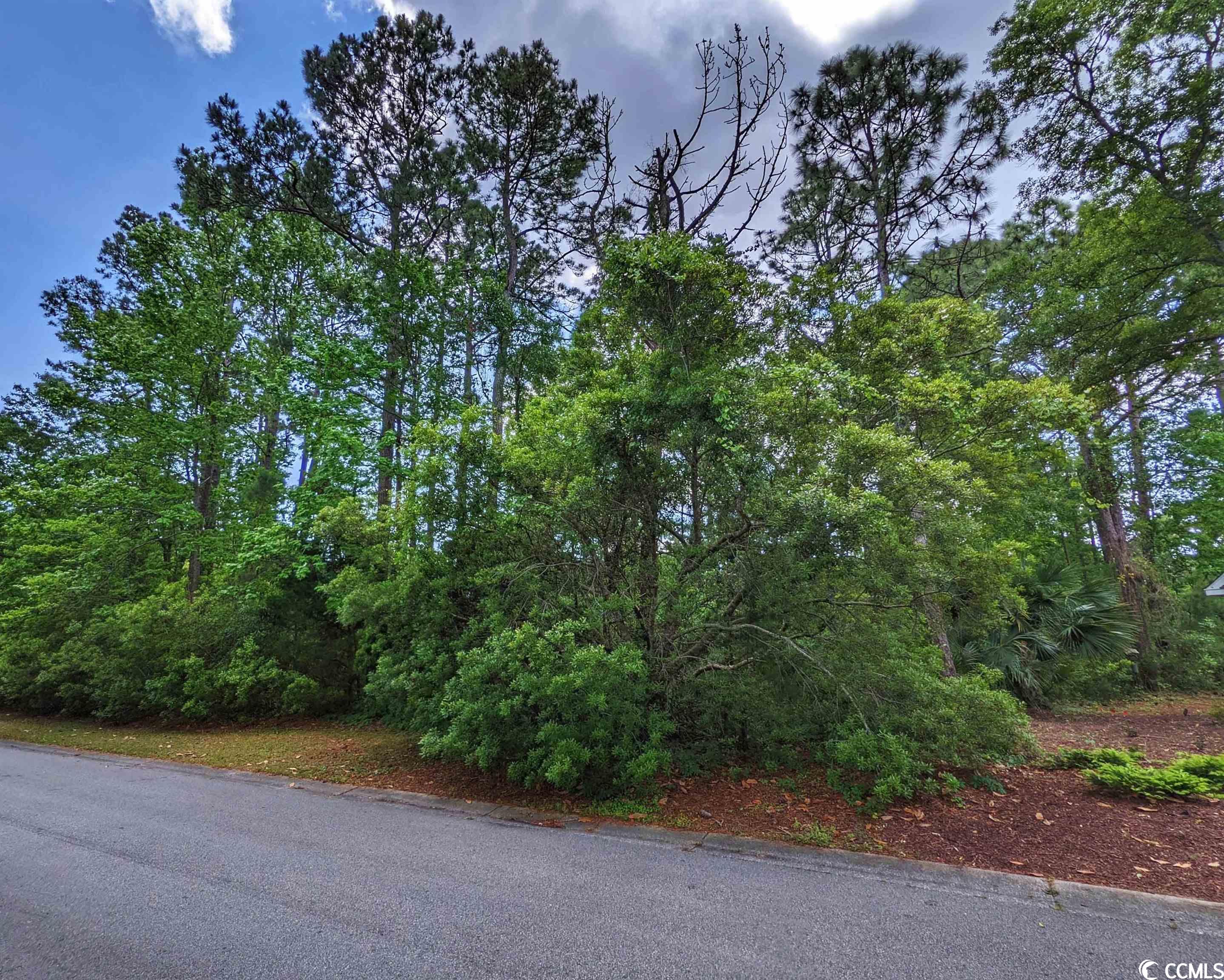 Photo 7 of 28 of Lot 45 Savannah Dr. land