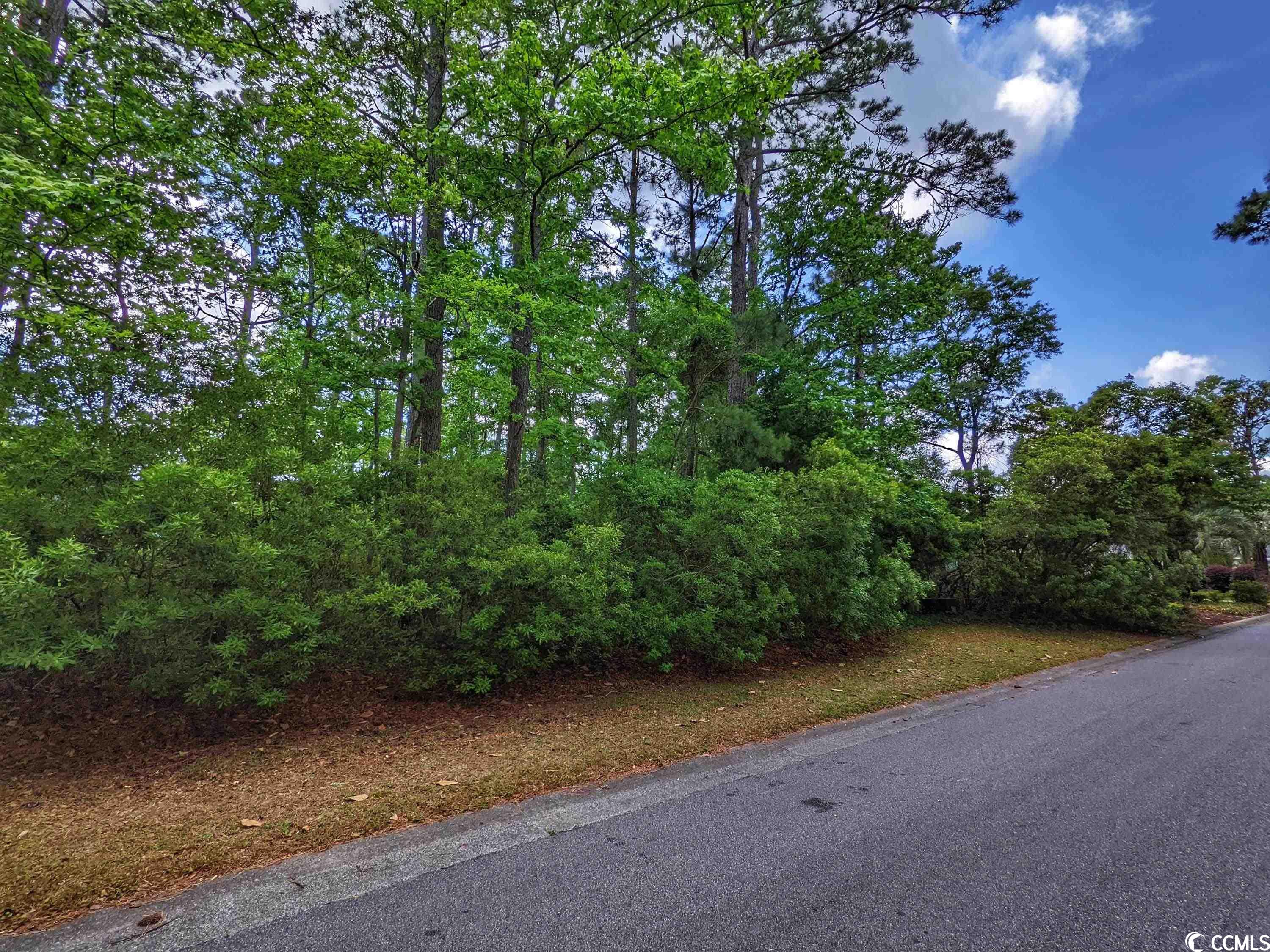 Photo 8 of 28 of Lot 45 Savannah Dr. land