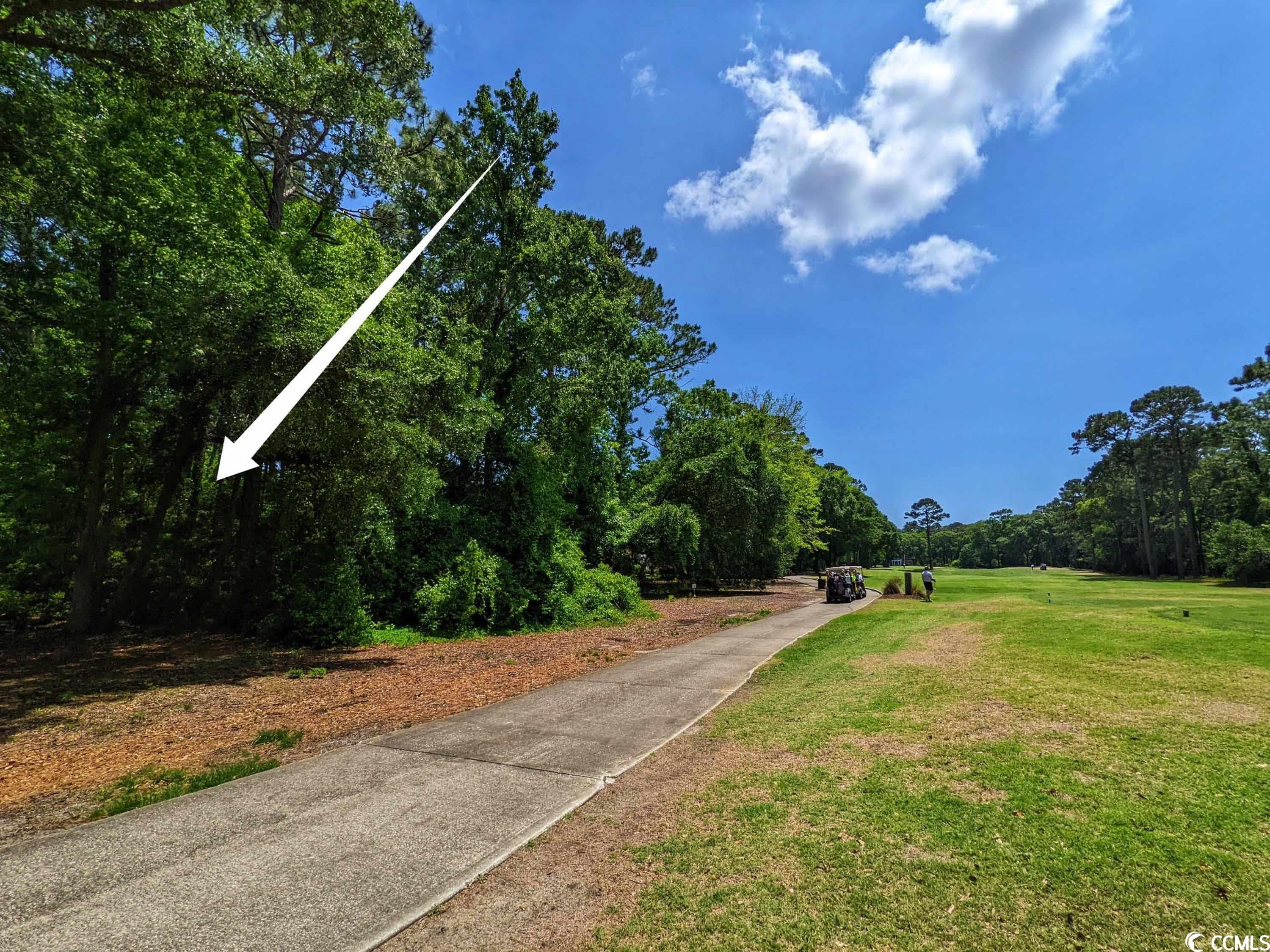 Photo 11 of 28 of Lot 45 Savannah Dr. land