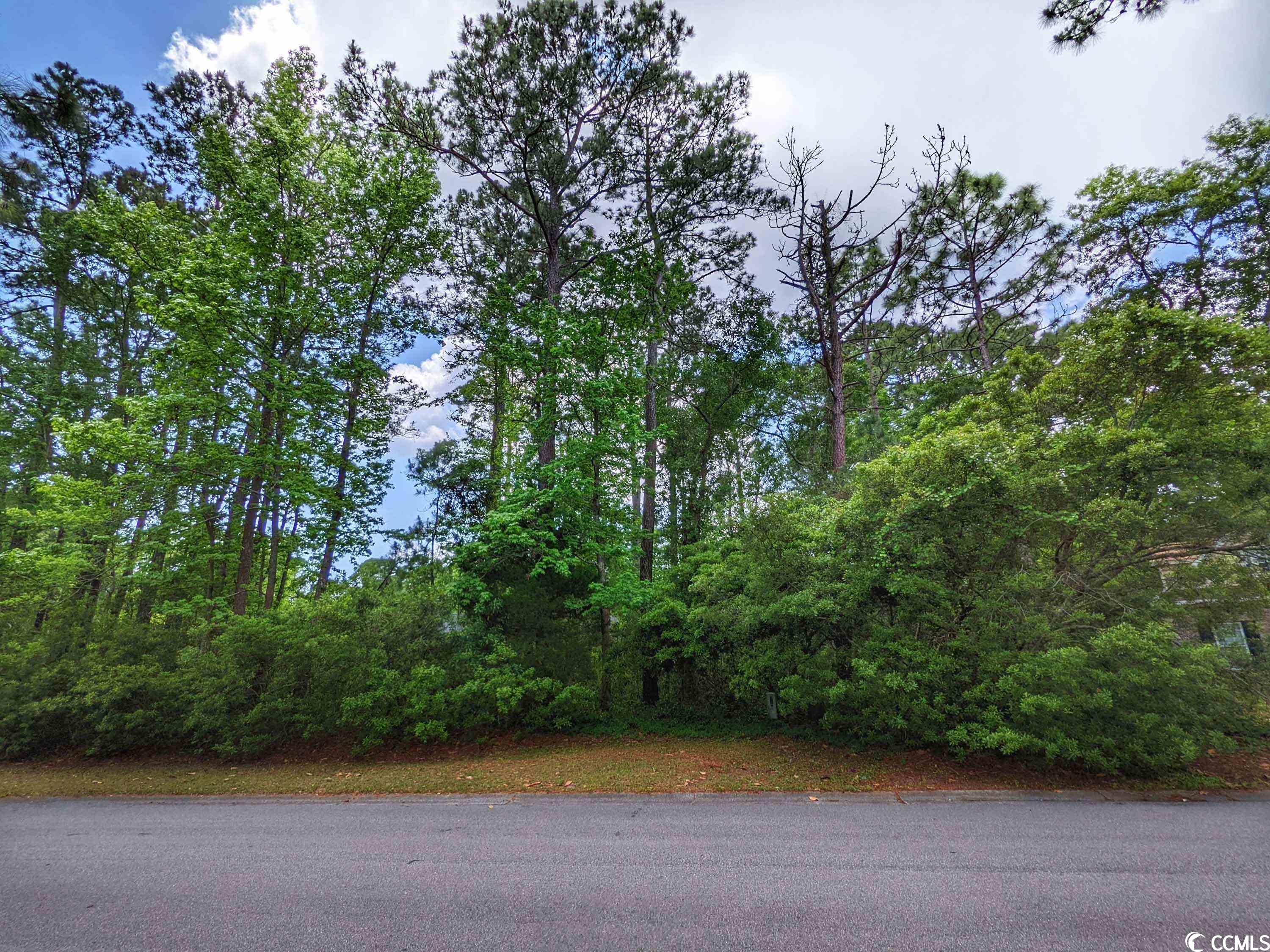 Photo 6 of 28 of Lot 45 Savannah Dr. land