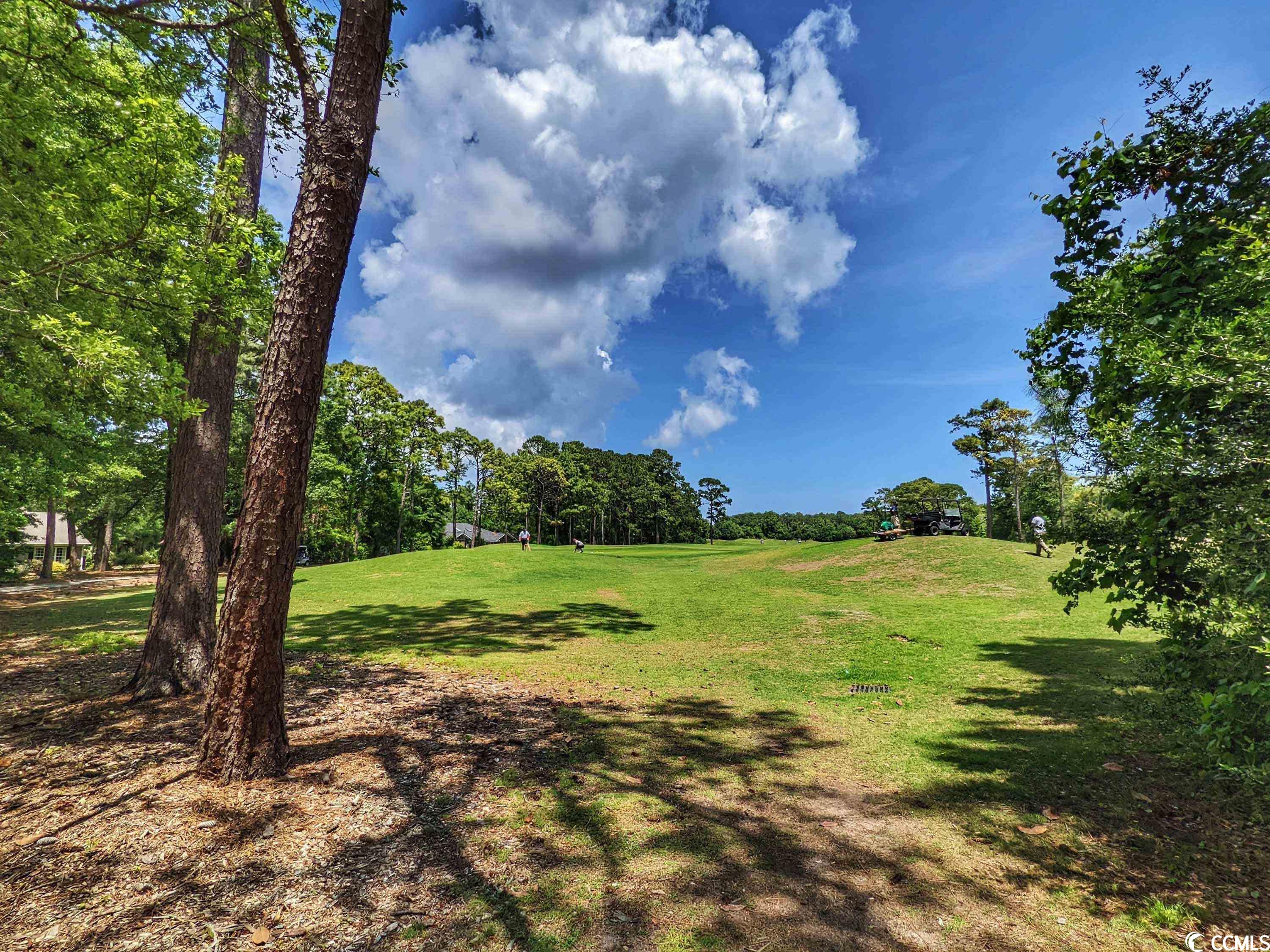 Photo 20 of 28 of Lot 45 Savannah Dr. land