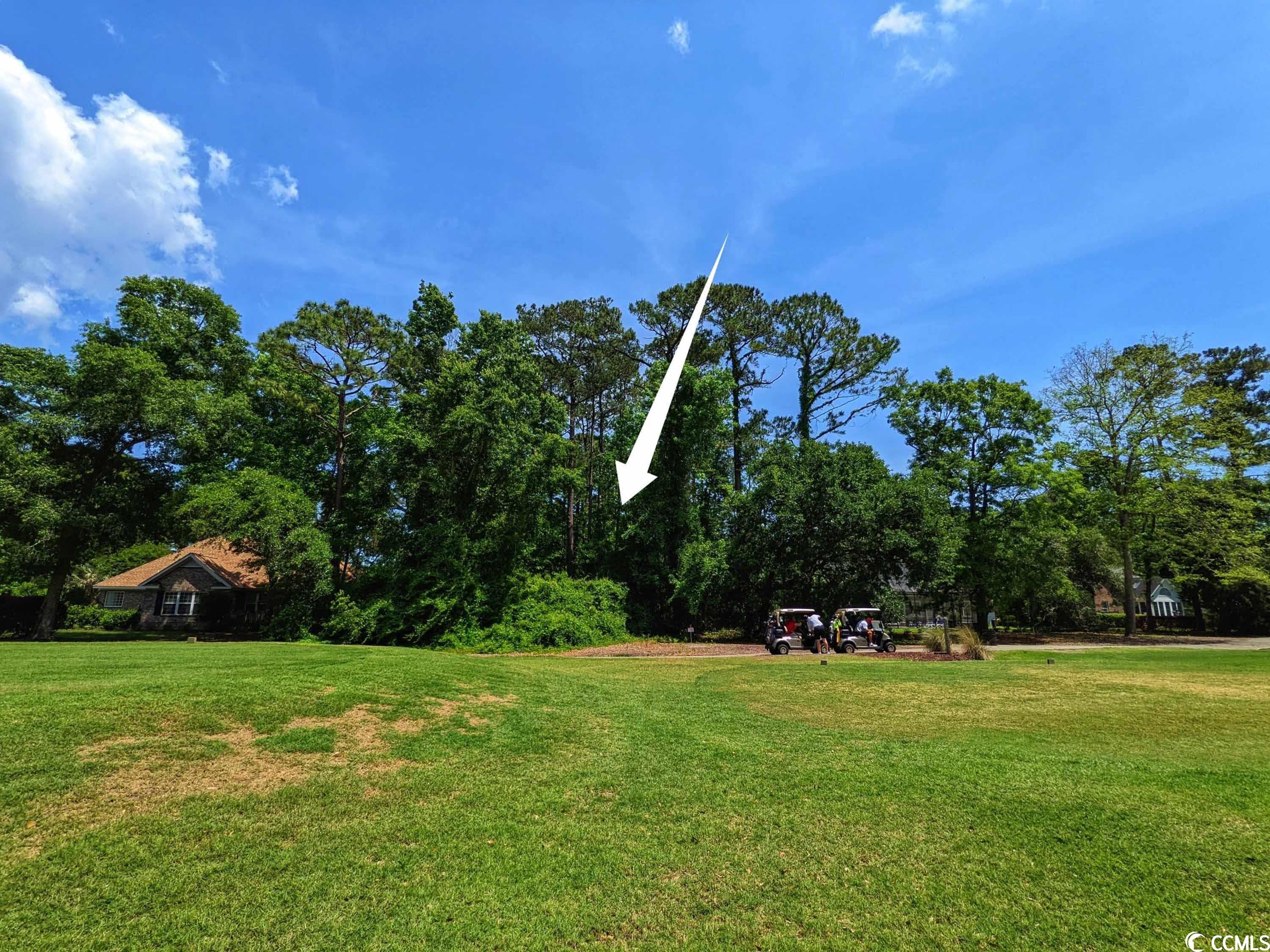 Photo 10 of 28 of Lot 45 Savannah Dr. land
