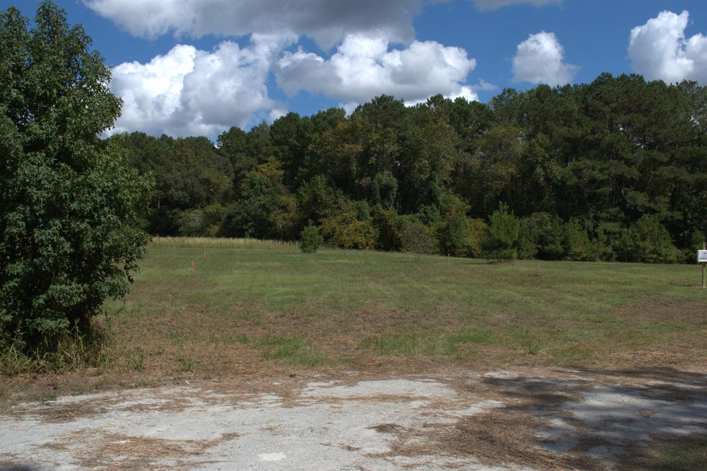 Photo of 214 Allsbrook Rd, Loris, SC 29569 (MLS # 2624328)