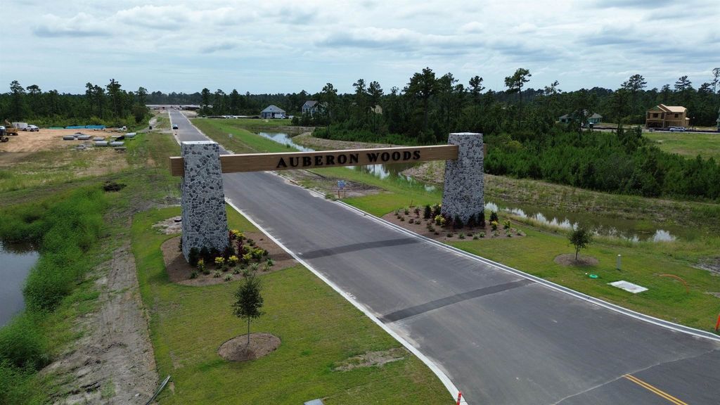 Photo of 3040 Berry Bush Way, Conway, SC 29526 (MLS # 2602140)