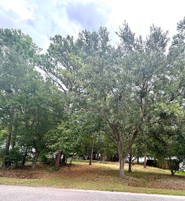 108 SASSAFRAS LN, CONWAY, SC 29526 - Image 0dfa4728a8cdfb1cd50eccc057b7ae35/2336621857