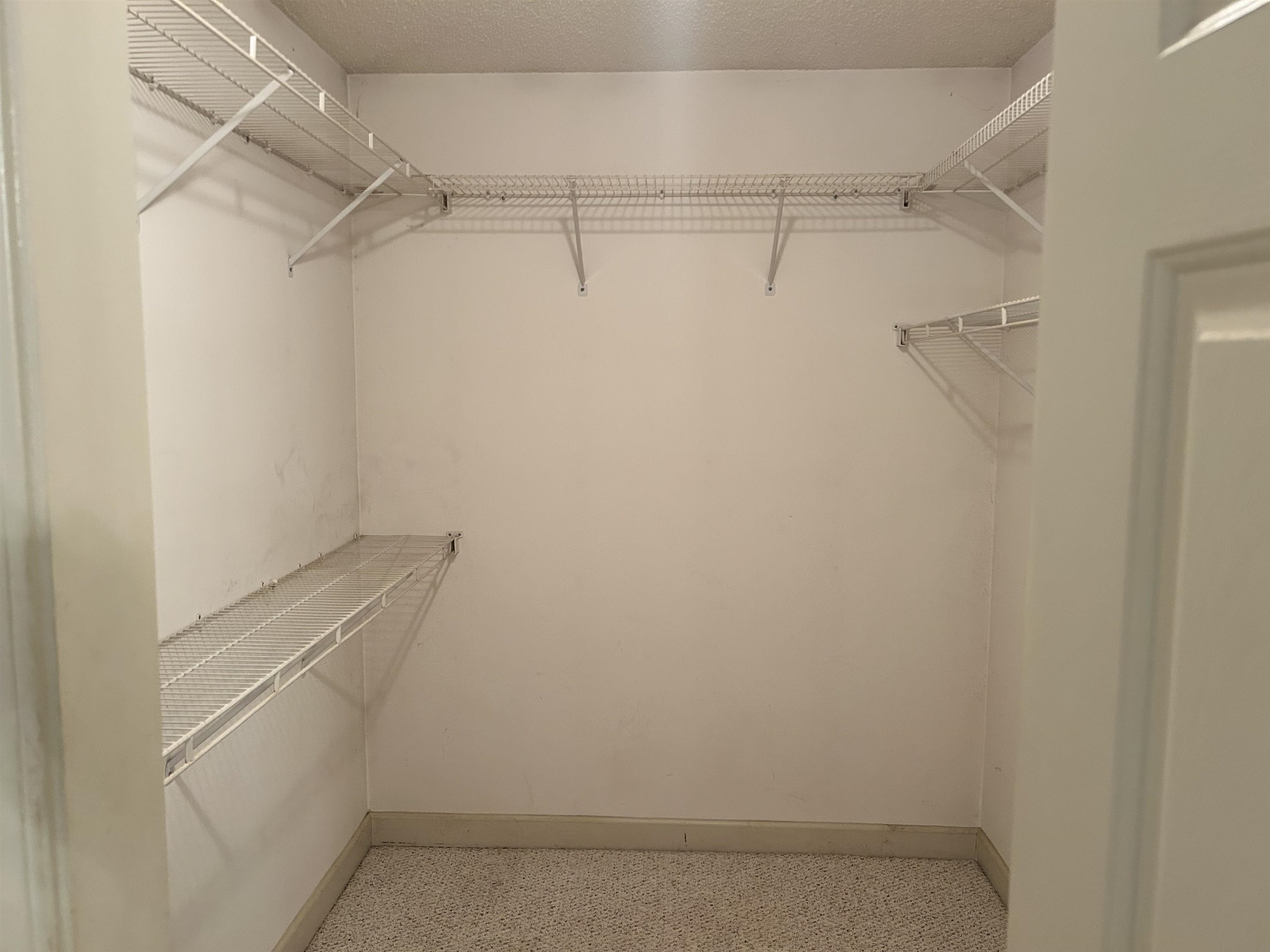 136 Ashworth Dr.