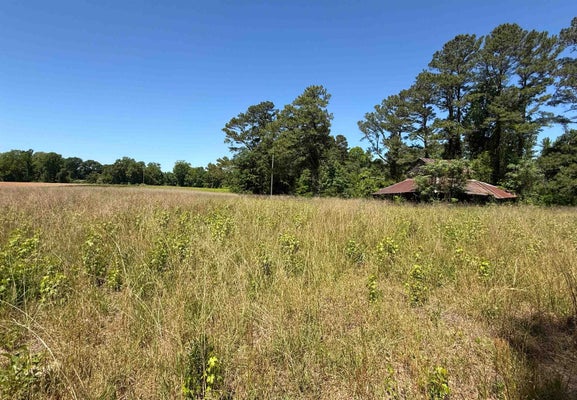MITCHELL SEA RD, GREEN SEA, SC 29545 - Image 0f476148ab5cb4aa2e588e7e01ca3b84/966460726