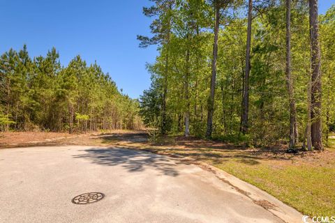  in Florence SC Lot 167B Barclay Dr.jpg
