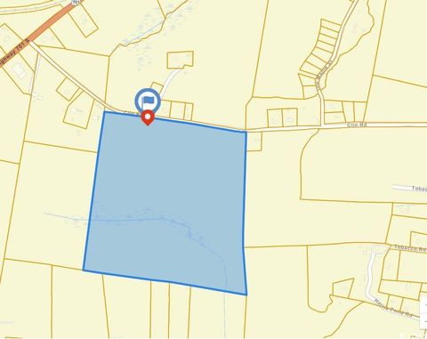 300 Clio Rd. Loris SC 29569