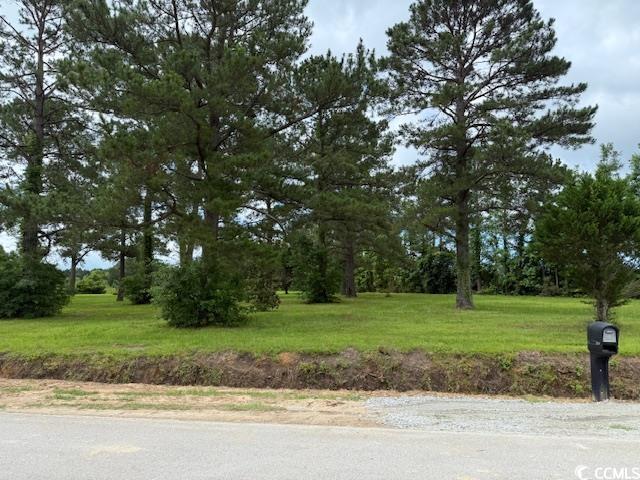 4.30 Acres Rabon Rd.