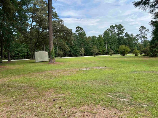 3686 CREEK RD, LAKE CITY, SC 29560 - Image 10943a2ba7d8b43fe9dcaa31dc64bb6d/3693790828