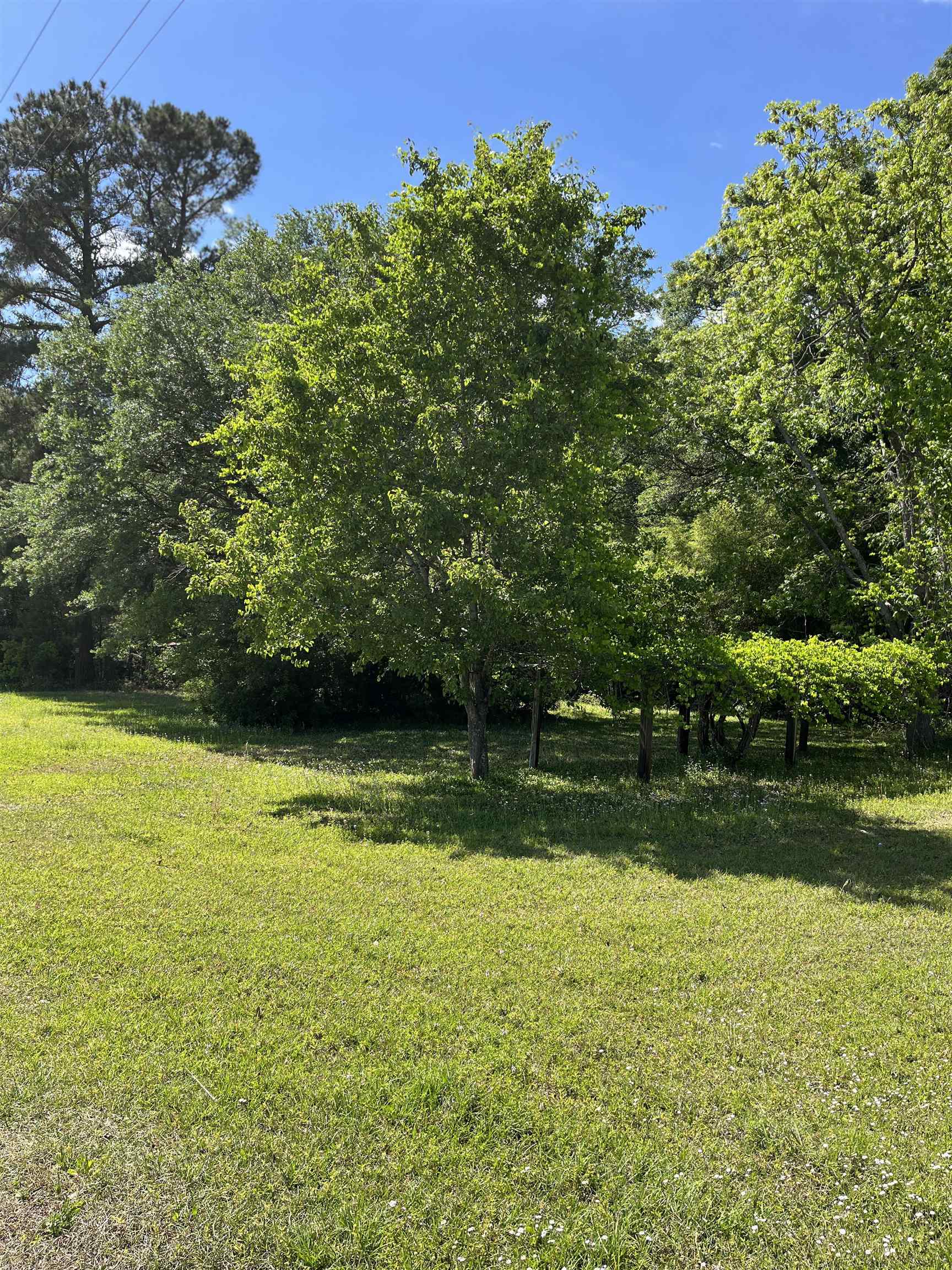 5451 Old Highway 472