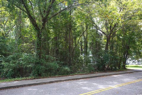 Photo of 1211 Washington St, Myrtle Beach, SC 29577 (MLS # 2522573)