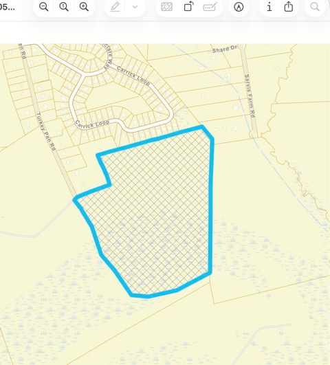 TBD Turkey Pen Rd. Longs SC 29568