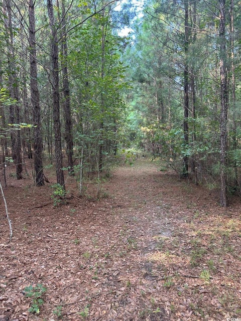 Featured picture for the property 2521440