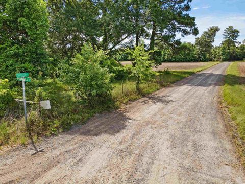 TBD Buddy Rd Hemingway SC 29554