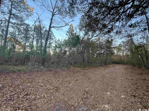 2240 Powell Rd. Georgetown SC 29440
