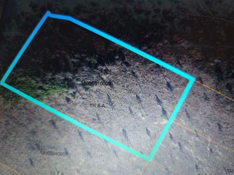 Photo of TBD Mincey Dr, Loris, SC 29569 (MLS # 2602507)