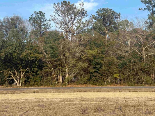 120 ROUGH HORN RD, EVERGREEN, NC 28438 - Image 223d6aa9fcd2d6c0d84e55dce12888da/1710755192