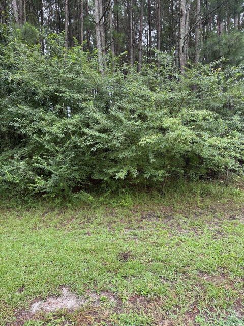 Photo of TBD Louisville Rd, Aynor, SC 29511 (MLS # 2518616)