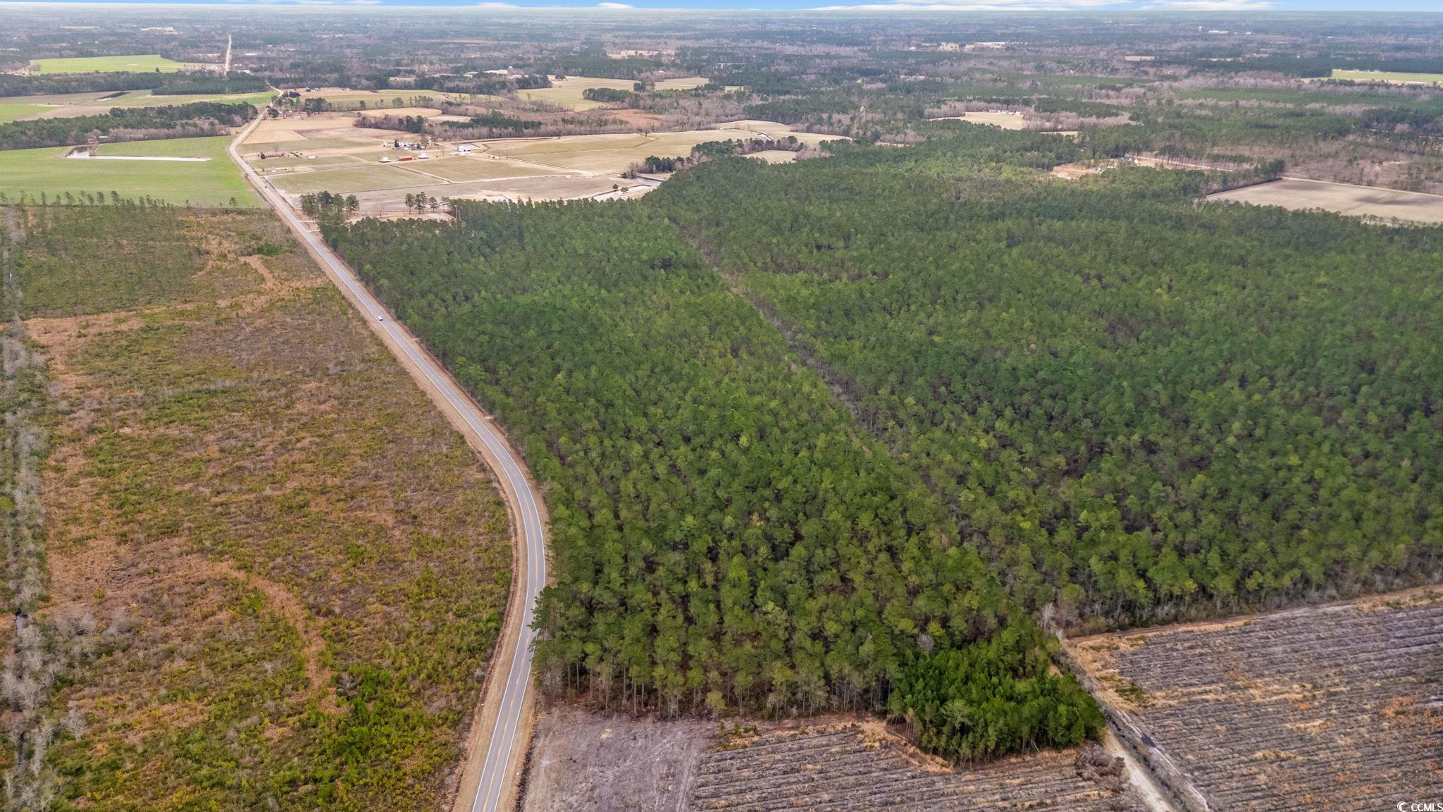 TBD Joyner Swamp Rd.