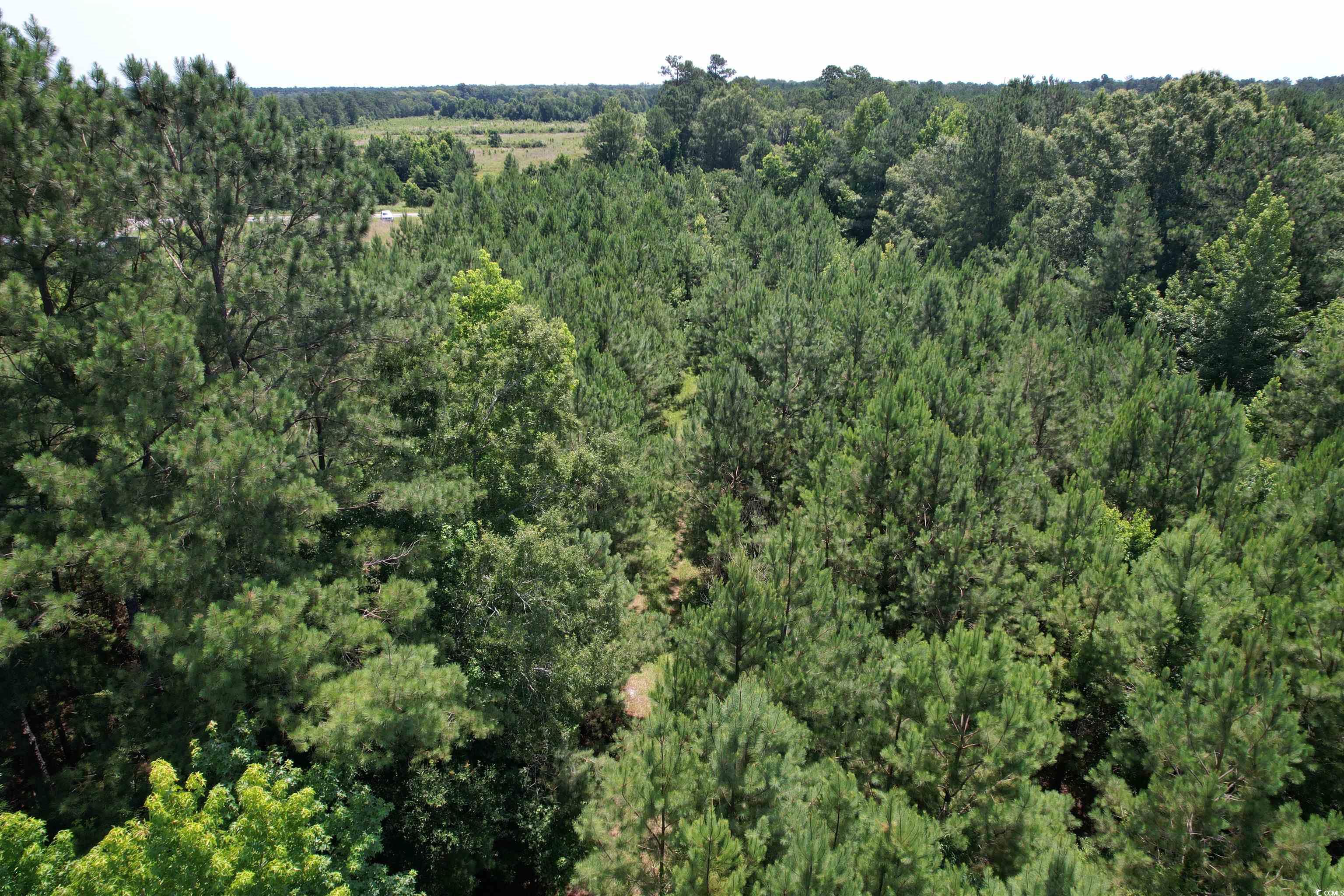 3.7 Acres - TBD Marion Church Rd.