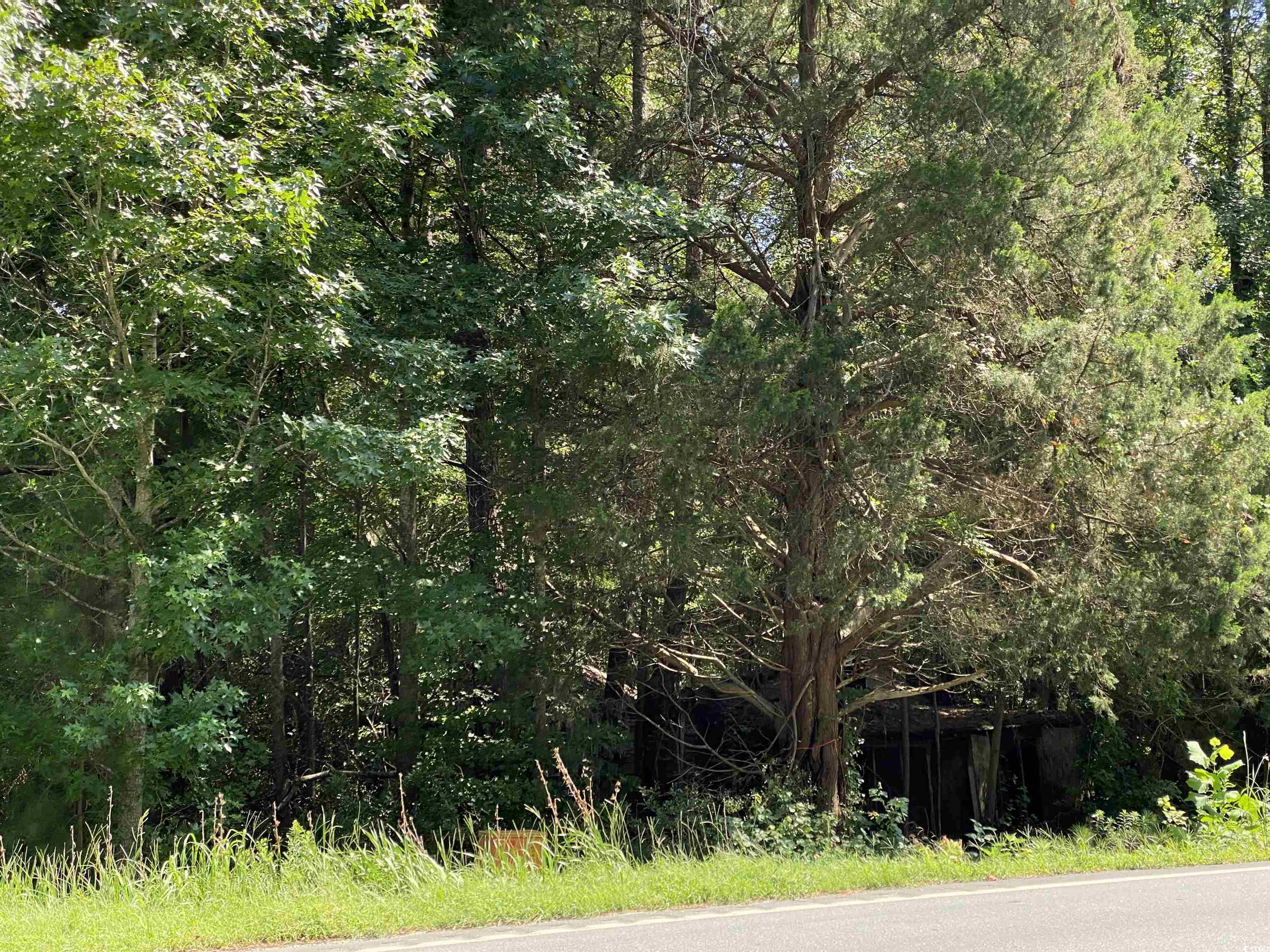 9142 Highway 90
