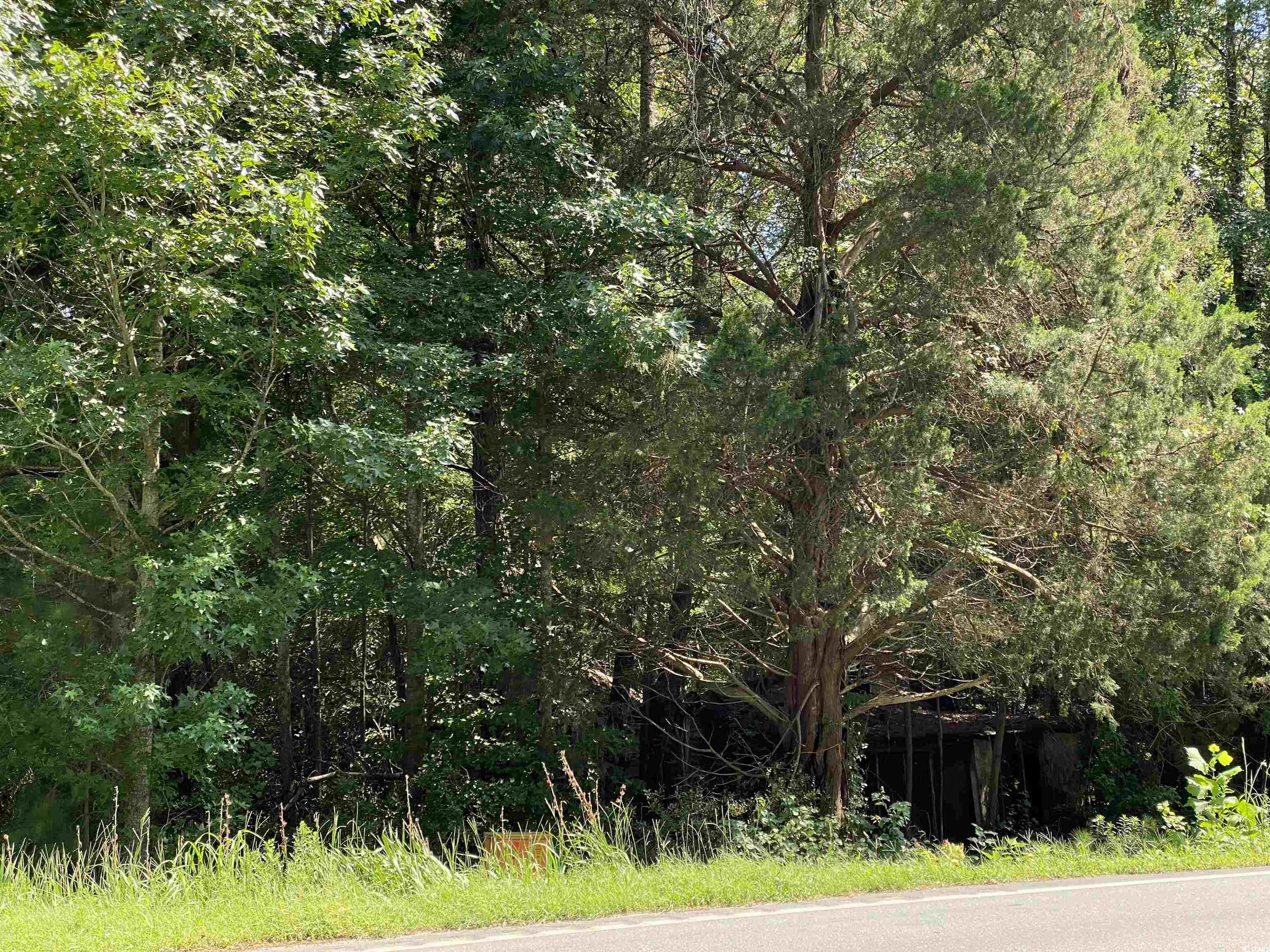 9142 Highway 90