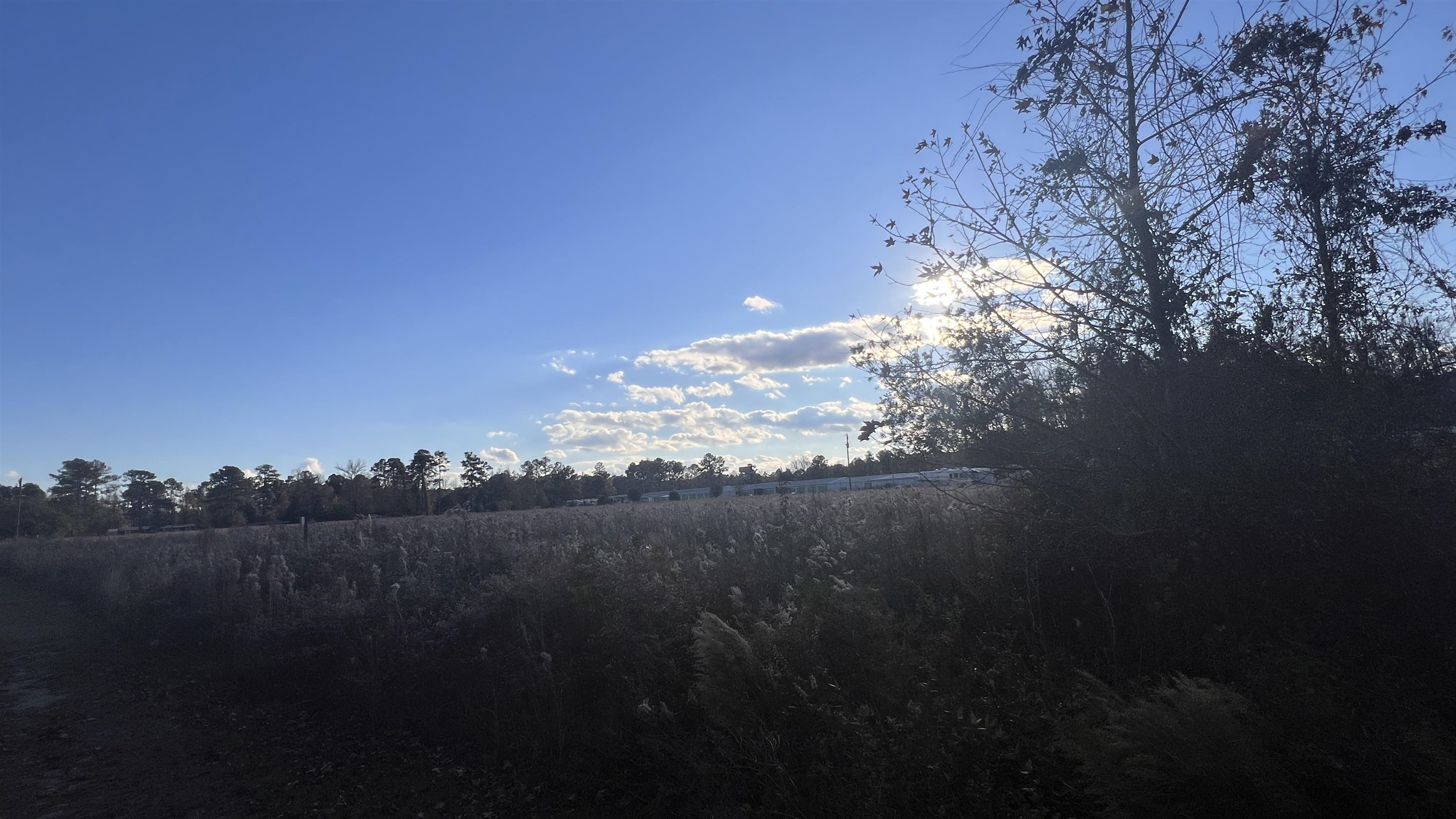 10.79 acres Highway 90