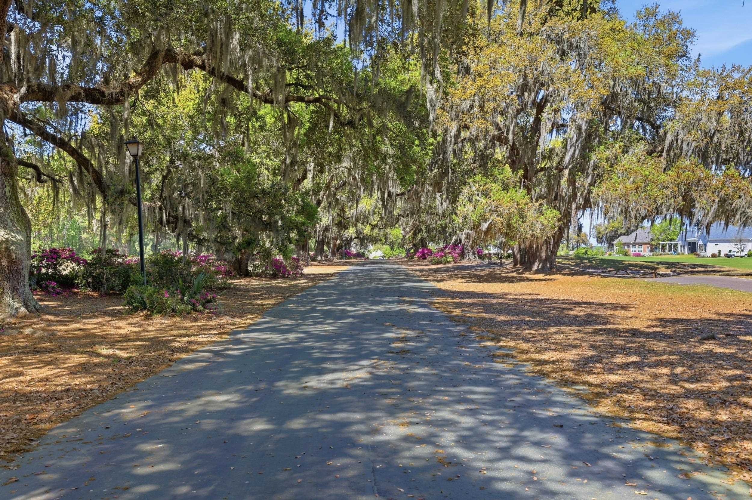 Pawleys Island, South Carolina, 29585, United States, 7 Bedrooms Bedrooms, ,6 BathroomsBathrooms,Residential,Active,2035553