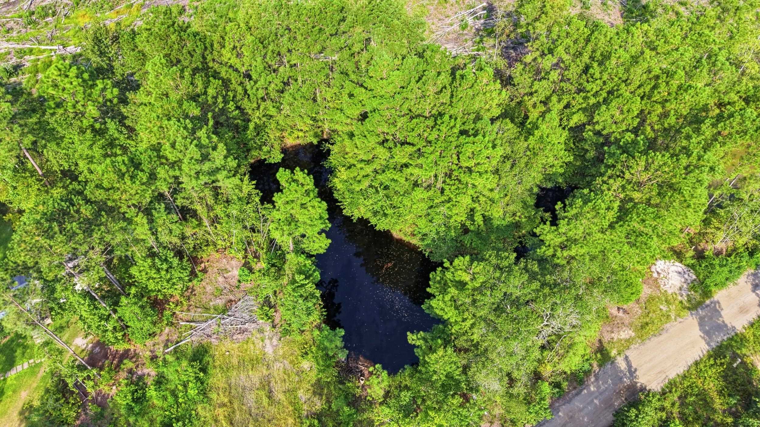 2106 Mineral Springs Rd.