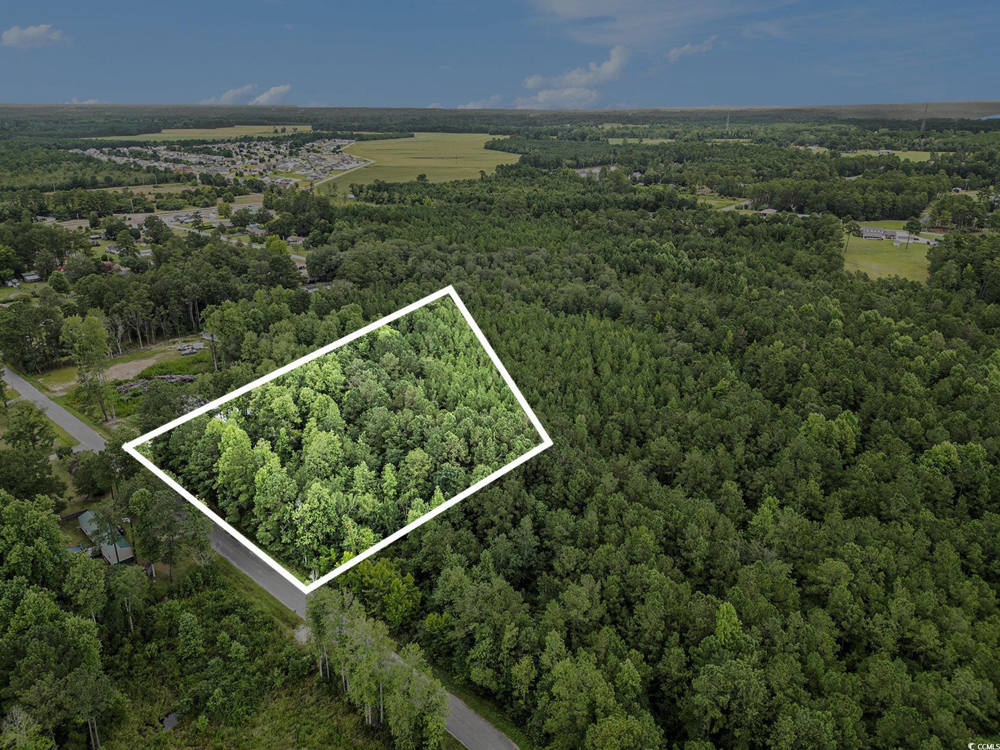 175 Crepe Myrtle Dr.