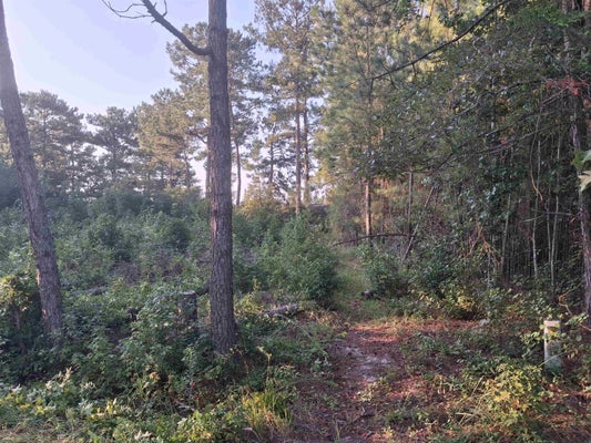 MCGREGOR CIR, LAKE CITY, SC 29560 - Image 320c53e330d7c8d61857eb07fd1154ba/2887624464