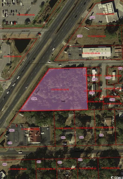 TBD Highway 17 Business Murrells Inlet SC 29576