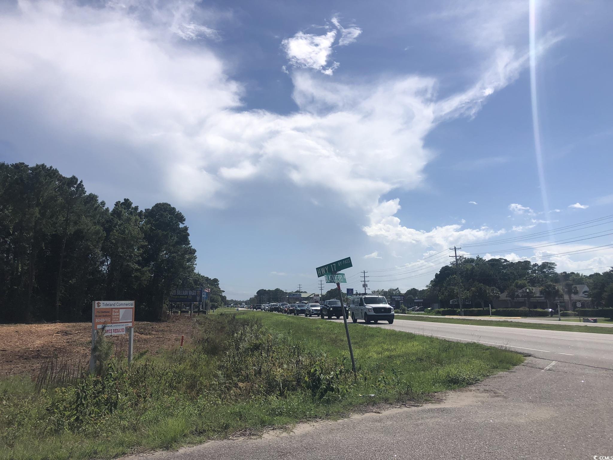 TBD Highway 17 Business