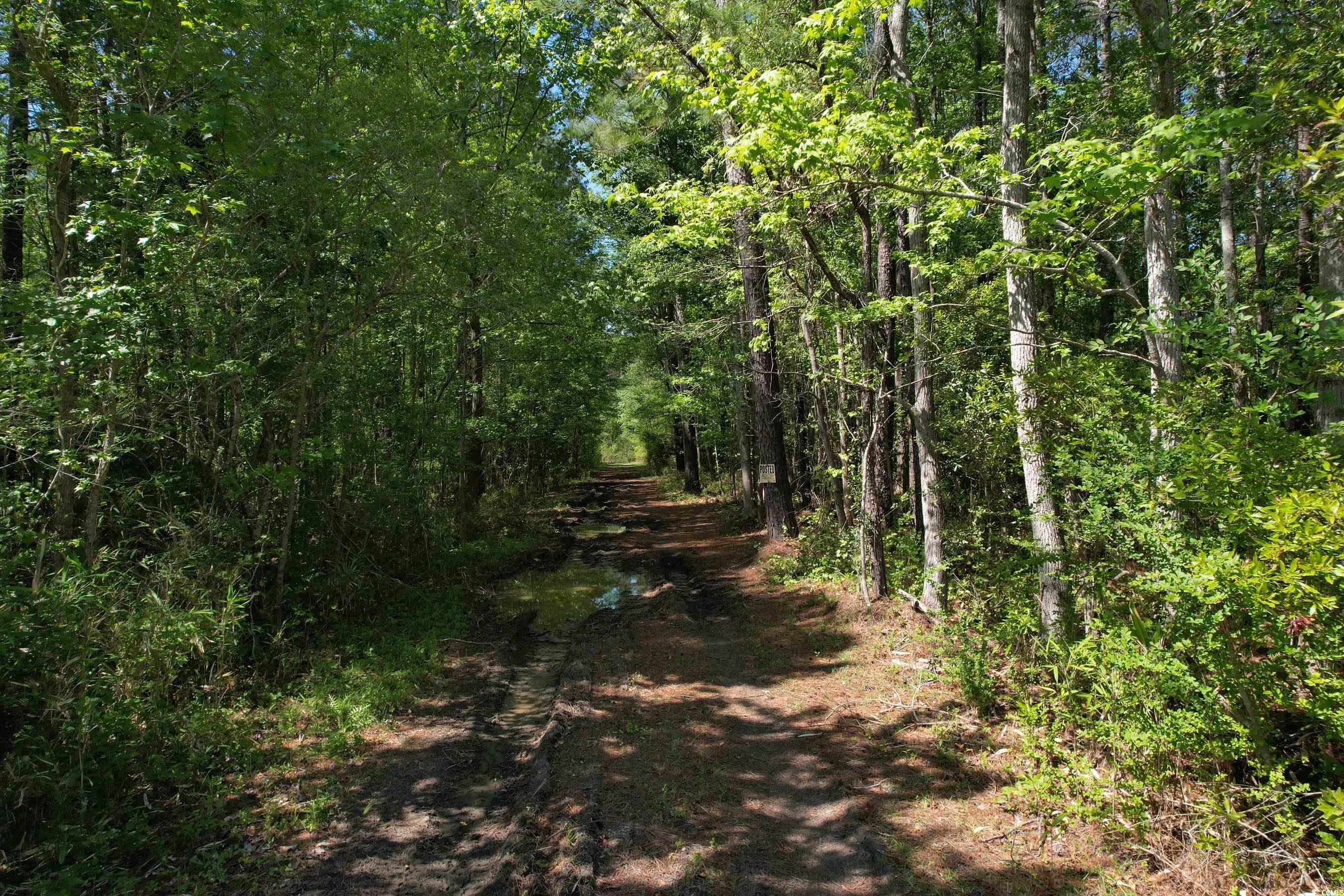 TBD Cain Wilson Rd.
