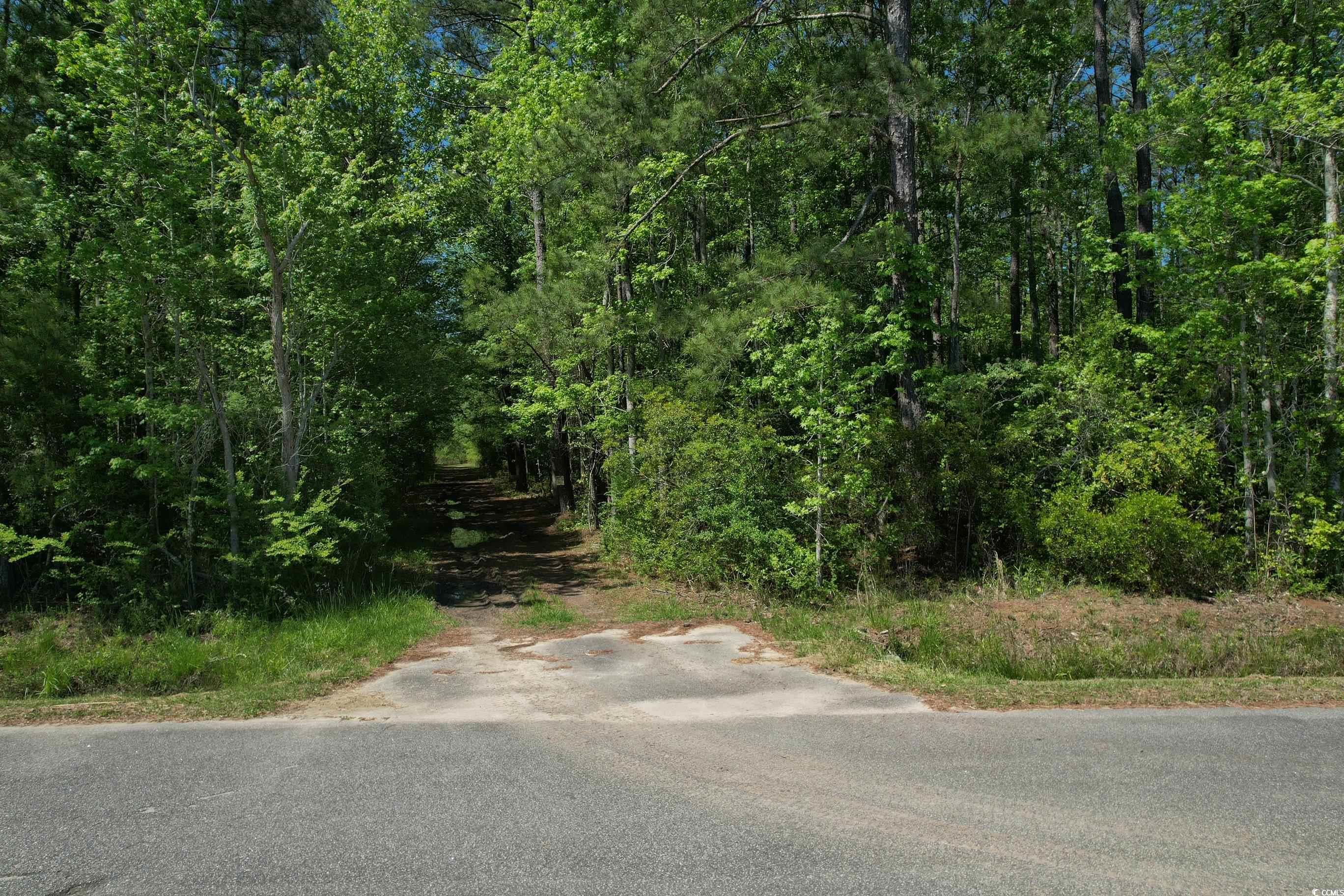 TBD Cain Wilson Rd.