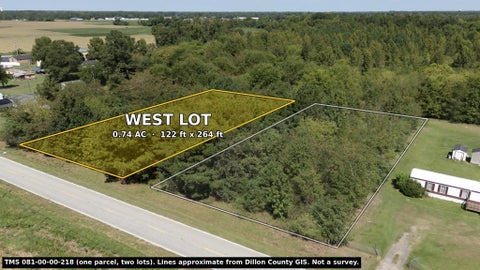 Photo of TBD Black Branch Rd, Dillon, SC 29536 (MLS # 2623354)