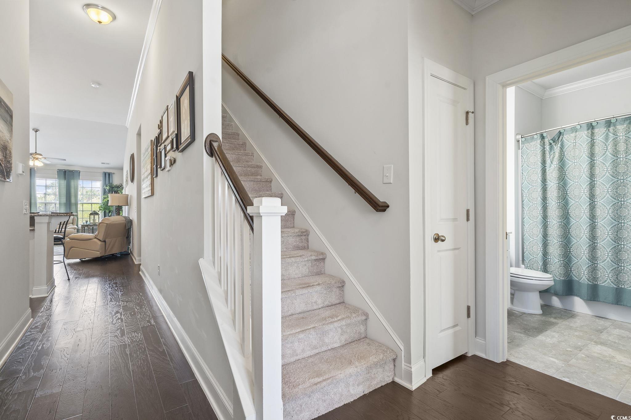 179 Parmelee Dr. D