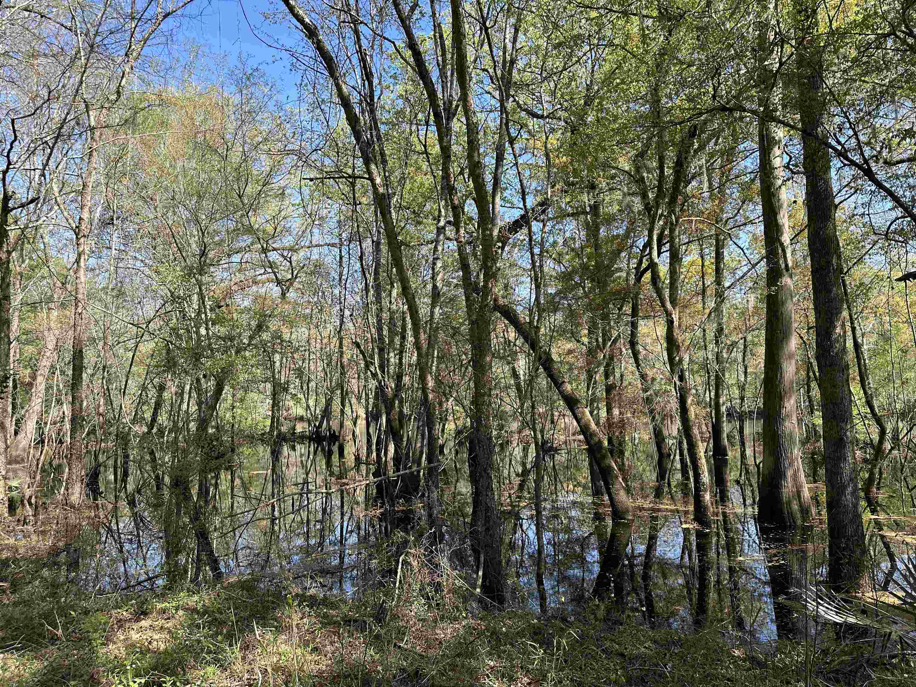 Lot 6 - TBD Old Camp Ln.