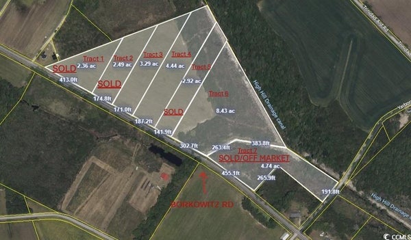 BORKOWITZ RD, SCRANTON, SC 29591 - Image 39b873e3e5e656fa68c3dd0bb0e6b110/156858661